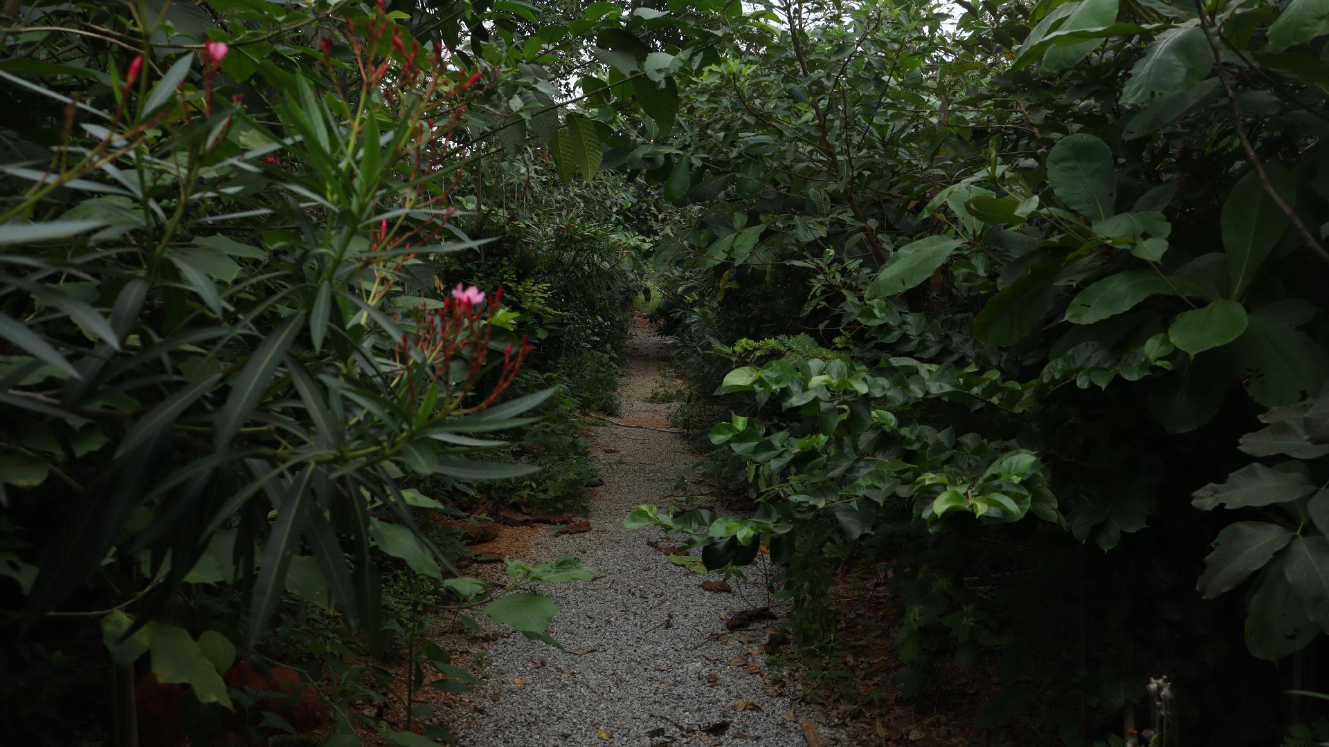 A Greener Future Starts Today,In Every Action 